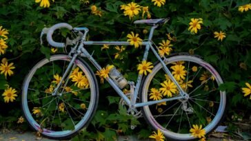 E-Bike kaufen in Deutschland