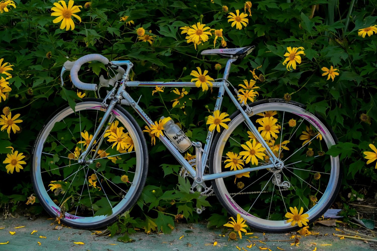 E-Bike kaufen in Deutschland
